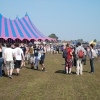 Foto Groezrock - zaterdag 23 april 2011