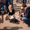 Sfeerfoto Bevrijdingsfestival Overijssel - 5 mei 2011