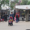 Foto Thé Lau in Artis