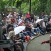 Foto ZOOmeravond: Perquisite - 25/6 - Artis Amsterdam