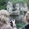 Sfeerfoto ZOOmeravond: Perquisite - 25/6 - Artis Amsterdam