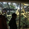 Foto ZOOmeravond: Perquisite - 25/6 - Artis Amsterdam
