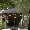 Foto ZOOmeravond: Pearl Jozefzoon - 6/8 - Artis Amsterdam
