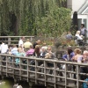 Sfeerfoto ZOOmeravond: Pearl Jozefzoon - 6/8 - Artis Amsterdam