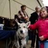 Foto Archeon Midzomer Fair - zondag 19 juni 2011