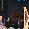 Sfeerfoto MidzomerZaan Festival - zondag 19 juni