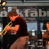 Foto MidzomerZaan Festival - zondag 19 juni