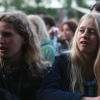 Foto Drakenboot Festival Apeldoorn