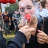 Sfeerfoto Tomorrowland - vrijdag 22 juli 2011