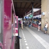 Sfeerfoto 3FM Sziget A-train - vrijdag 5 augustus