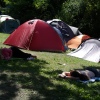 Foto Sziget - woensdag 10 augustus 2011