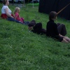 Foto Sziget - donderdag 11 augustus 2011