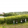 Foto Mysteryland - 27 augustus 2011