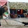 Foto Magneet Festival 2011