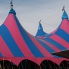 Sfeerfoto Appelpop - zaterdag 10 september 2011