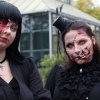 Sfeerfoto Elf Fantasy Fair Arcen - zaterdag 17 september 2011