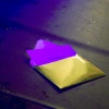 Foto Dutch MTV Awards