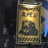 Foto Guano Apes - 5/2 - 013