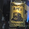 Sfeerfoto Guano Apes - 5/2 - 013