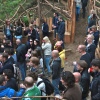 Foto Dauwpop 2012