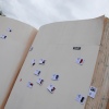 Sfeerfoto Bevrijdingsfestival Overijssel