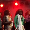 Foto Bevrijdingsfestival Den Haag