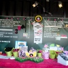 Foto Pinkpop 2012 dag 2