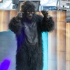 Sfeerfoto Obsession Outdoor 2012