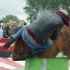 Foto Parkpop 2012