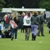 Sfeerfoto Parkpop 2012