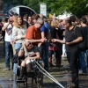 Foto Werfpop 2012