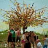 Foto Solar Weekend 2012