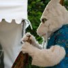 Foto Elf Fantasy Fair - zaterdag 19 september