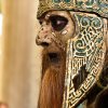 Foto Elf Fantasy Fair - zaterdag 19 september