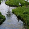 Sfeerfoto Elf Fantasy Fair - zaterdag 19 september