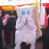 Sfeerfoto Elf Fantasy Fair 2013
