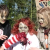 Sfeerfoto Elf Fantasy Fair 2013
