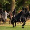 Foto Elf Fantasy Fair - zondag 20 september