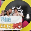 Foto Pinkpop 2013 - dag 3