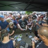 Foto Werfpop 2013