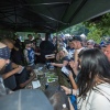 Foto Werfpop 2013