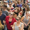 Foto Werfpop 2013