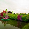 Sfeerfoto Tomorrowland 2013