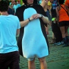 Foto Tomorrowland 2013