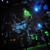 Foto Tomorrowland 2013