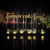 Foto Tomorrowland 2013