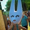 Foto Tomorrowland 2013
