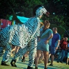 Foto Tomorrowland 2013