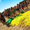 Foto Solar Weekend 2013