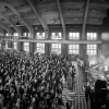 Foto Grasnapolsky 2014
